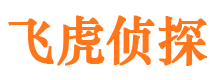 邯郸县市调查公司